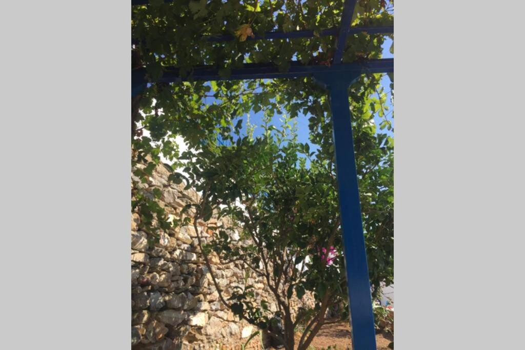 Cycladic Houses In Rural Surrounding 3 Tholária エクステリア 写真